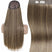 Halo Hair Extensions