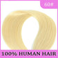 Platinum Blonde Halo Extensions #60