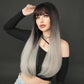 Black To Silver Ombre Wig