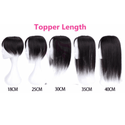 Clip Hair Topper Stylonic