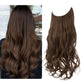 Hair Halo Extensions