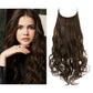 Hair Halo Extensions