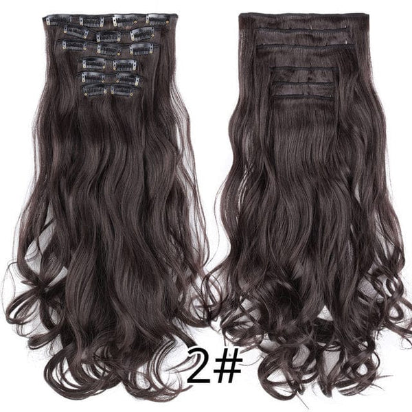 Stylonic Fashion Boutique Hair Extensions curly 2 / 22inches Clip-on Hair Extensions