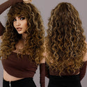Stylonic Fashion Boutique Synthetic Wig Curly Brown Hair with Highlights Curly Brown Hair with Highlights - Stylonic Fashion Boutique