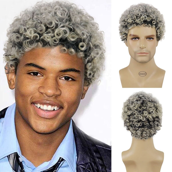 Stylonic Fashion Boutique Grey Afro Kinky Curly Wig for Man