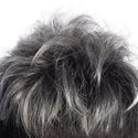 Silver Wig