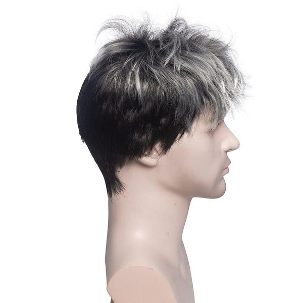 Mens Grey Wig