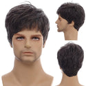 Stylonic Fashion Boutique Synthetic Wig Short Men's Wig Wigs | Silver Wigs | Mens's Wigs Short Men's Wig |  Stylonic