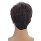 Male Wigs